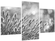 Tablou - Iarbă moale bej N⁰1 (90x60 cm)