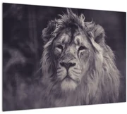 Tablou cu leu (70x50 cm)