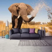 Fototapet - Elefant (254x184 cm)