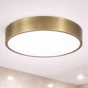 Brilagi - Plafonieră LED pentru baie POOL LED/36W/230V Ø 40 cm IP54 alamă