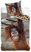 Lenjerie de pat din bumbac Opice Orangutan, 140 x200 cm, 70 x 90 cm