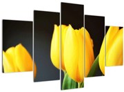 Tablou cu lalele (150x105 cm)