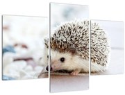 Tablou cu arici (90x60 cm)