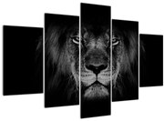 Tablou - Leu majestic (150x105 cm)