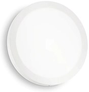 Plafoniera LED perete/tavan Universal pl d30 round 2700k