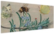 Tablou - Jan van Kessel the Elder, Insects and a Sprig of Rosemary, reproducere (120x50 cm)