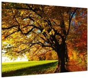 Tablou cu toamna (70x50 cm)
