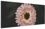 Tablou cu floare portocalie (120x50 cm)