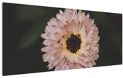 Tablou cu floare portocalie (120x50 cm)