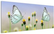 Tablou cu fluture pe floare (120x50 cm)