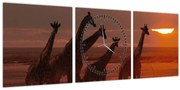 Tablou - Girafe în savana africană (cu ceas) (90x30 cm)