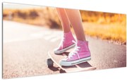 Tablou cu scateboard (120x50 cm)