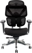 DeluxStar T2 ELITE PRO – Scaun Ergonomic Premium cu Suport Lombar Dual Dynamic 3D, Suspensie Air-Glide și Suport Complet Cervical – Spate – Lombar, Negru