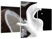 Tablou - laptele de cocos (90x60 cm)