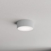 Plafonieră pentru baie CLEO 1xE27/24W/230V d. 20 cm gri IP54