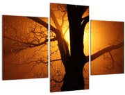Tablou cu copac în apus de soare (90x60 cm)