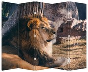 Paravan - Leul dormind (210x170 cm)