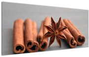 Tablou cu scorțișoară (120x50 cm)