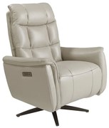 Fotoliu design LUX cu functia relax Cowhide Grey leather