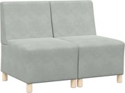 vidaXL Unitate Sofa Modulară Fără Brațe 2 pcs Gri deschis