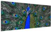 Tablou - Păun (120x50 cm)