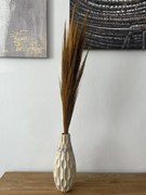 Pampas Broom 90-105 cm