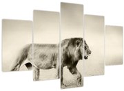 Tablou - Leul flămând (150x105 cm)