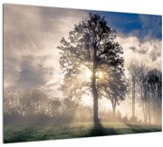 Tablou cu copac în ceață (70x50 cm)