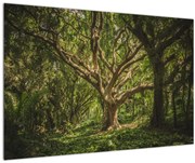 Tablou cu copaci (90x60 cm)