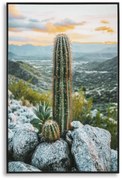 Mauro Ferretti Pictura Pe Panza, Cu Rama, Cactus -A- Cm 60X4X88 | Aosom Romania