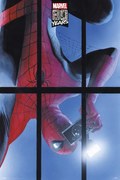 Poster Spiderman - 80 Years