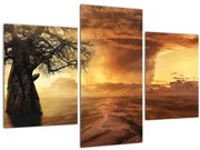 Tablou cu norii portocalii (90x60 cm)