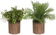 Plante artificiale 2 buc. (înălțime 22 cm) – Casa Selección