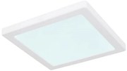Plafonieră LED LASSE LED/18W/230V 3000/4000/6500K albă Globo 12380-18W