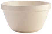 Bol din ceramică Mason Cash Basin, ⌀ 22 cm, alb