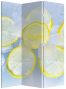 Paravan - Lămâie în gheață (126x170 cm)