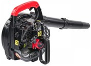 Suflantă/aspirator de frunze pe benzină RTODL0058