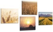 Set tablouri natura magică