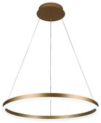 Brilagi - Lustră LED dimabilă suspendată pe cablu CIRCLE, 42W/230V, 3000-6500K + telecomandă