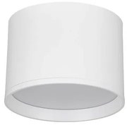 Spot aplicat, Plafoniera LED Ziaza alb, 12cm