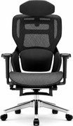 MONZA E16 Executive – Scaun Ergonomic Premium, Reglaje Avansate, Suport Lombar Reglabil pe Înălțime, Tetieră Reglabilă, Cotiere 3D, Șezut Extensibil, Reclinare 135°, Suport pentru Picioare și Bază Metalică, Mesh, Negru