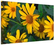 Tablou cu flori galbene (90x60 cm)