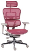 Scaun de birou Ergohuman 2 Elite GS Pink