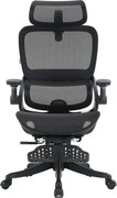 Scaun ergonomic SIHOO B100-PRO, cotiere 4D, tetiera 3D, mecanism multifunctional inclinare/blocare, suport picioare, pivotant, Mesh, Negru