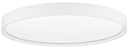 Plafoniera LED dimabila design circular OLAF alba 60cm
