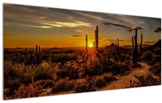 Tablou - Sfărșit de zi în deșertul Arizona (120x50 cm)