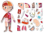 JOC MAGNETIC - DESCOPERA CORPUL UMAN - DODO (DO200220)