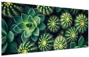 Tablou - Cactuși (120x50 cm)