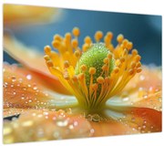 Tablou pe sticlă - Detaliu de floare (70x50 cm)