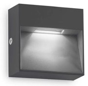 Aplica LED iluminat exterior ambiental IP65 Dedra ap big